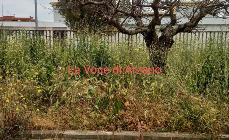 Si, però la villa…