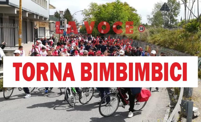 Dopo due anni torna “Bimbimbici”