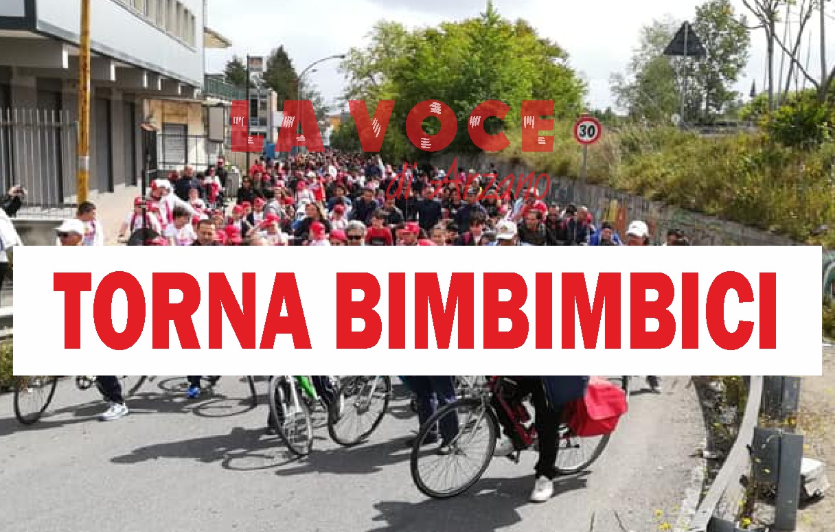 Dopo due anni torna “Bimbimbici”