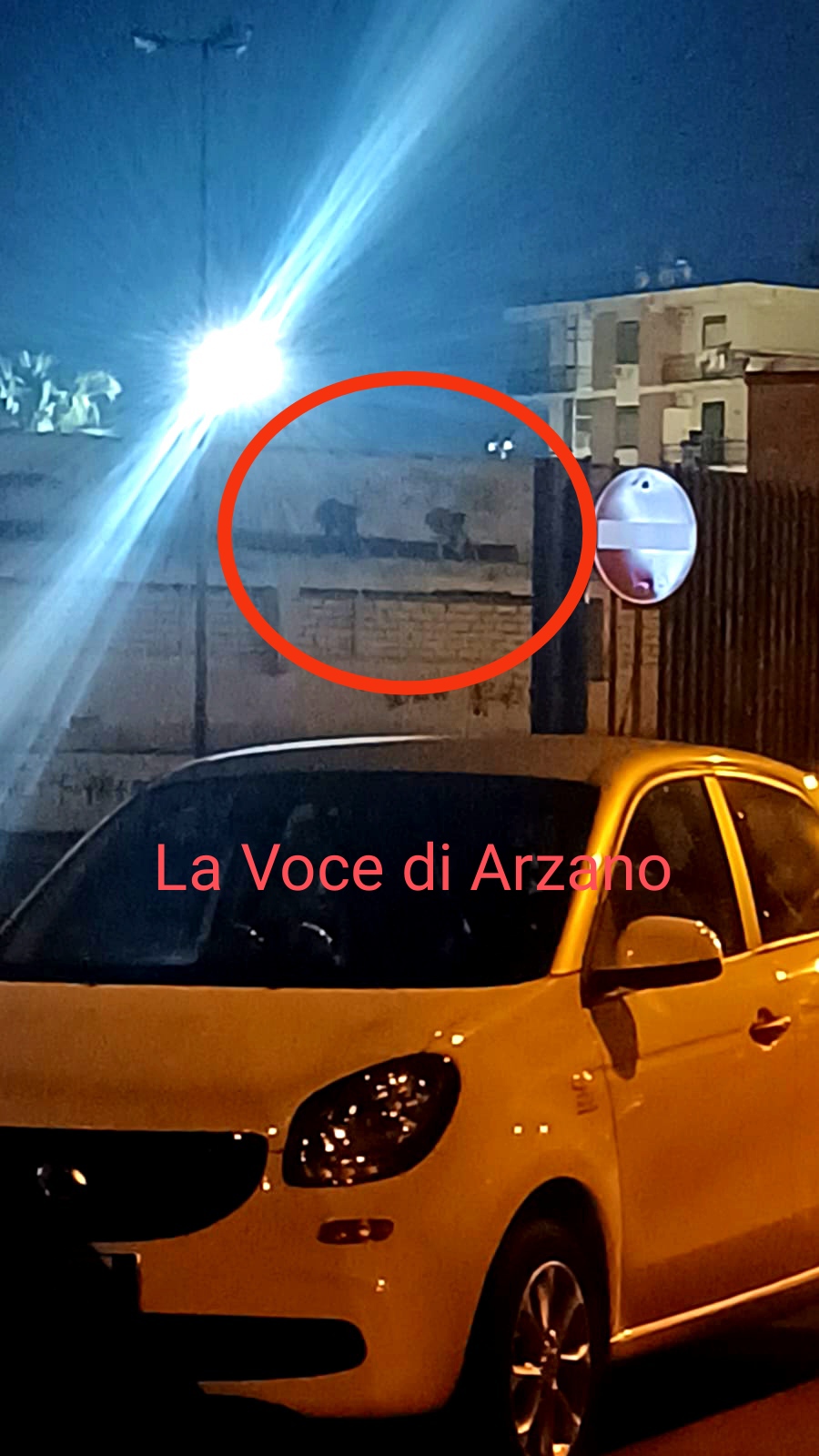 Tela di Penelope, i vandali anche sul tetto