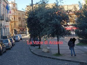Manutenzione degli alberi assente. Sagomatura, questa sconosciuta