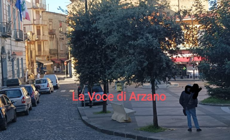 Manutenzione degli alberi assente. Sagomatura, questa sconosciuta