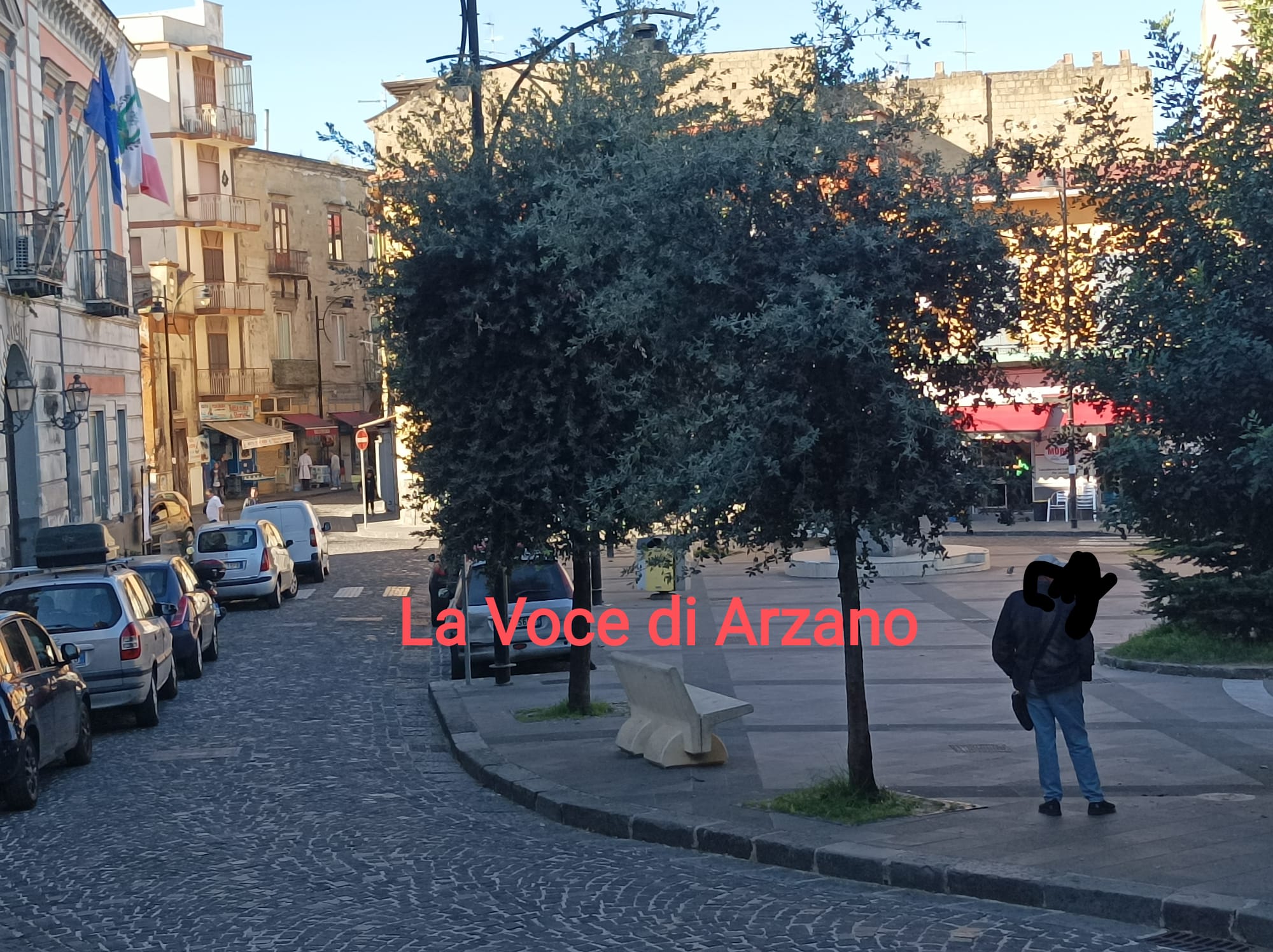 Manutenzione degli alberi assente. Sagomatura, questa sconosciuta