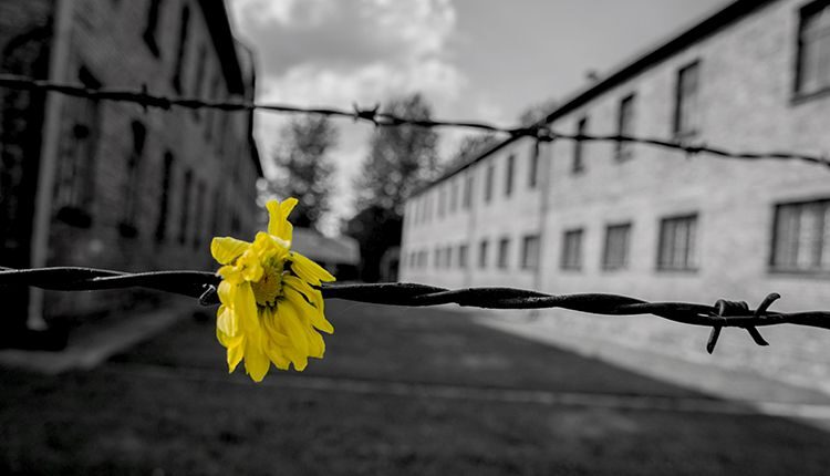Il colore dell’infamia