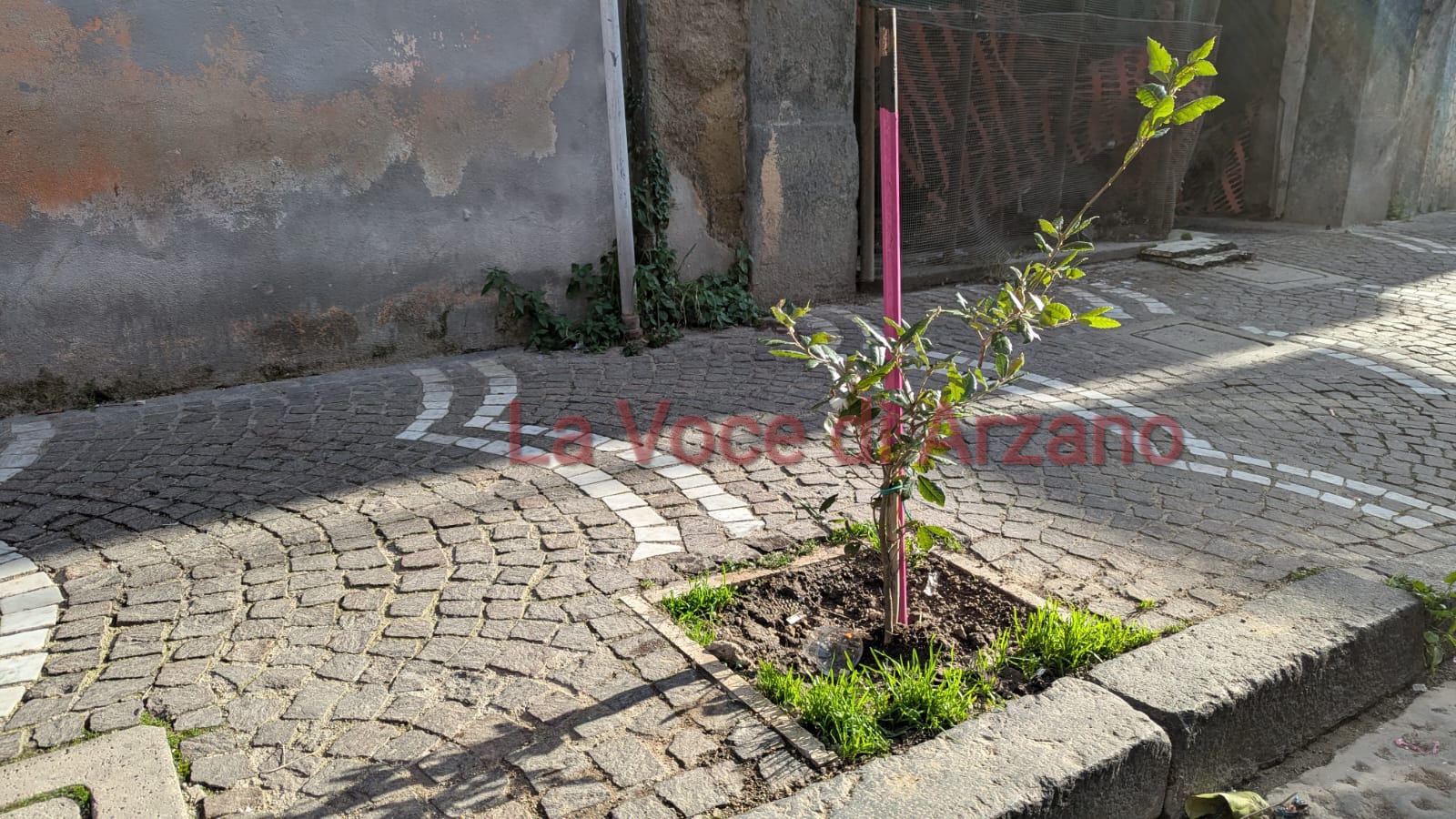 Veco, sente e facce finta ‘e niente